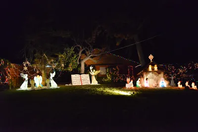 DSC_5807 (Large).JPG